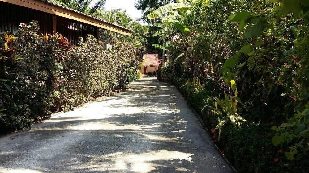 Subtawee Resort Surat Thani Buitenkant foto